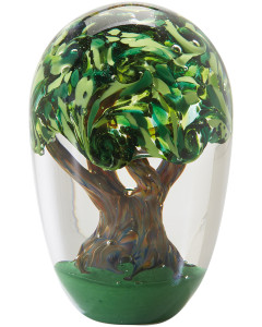Glass Eye Global (3)