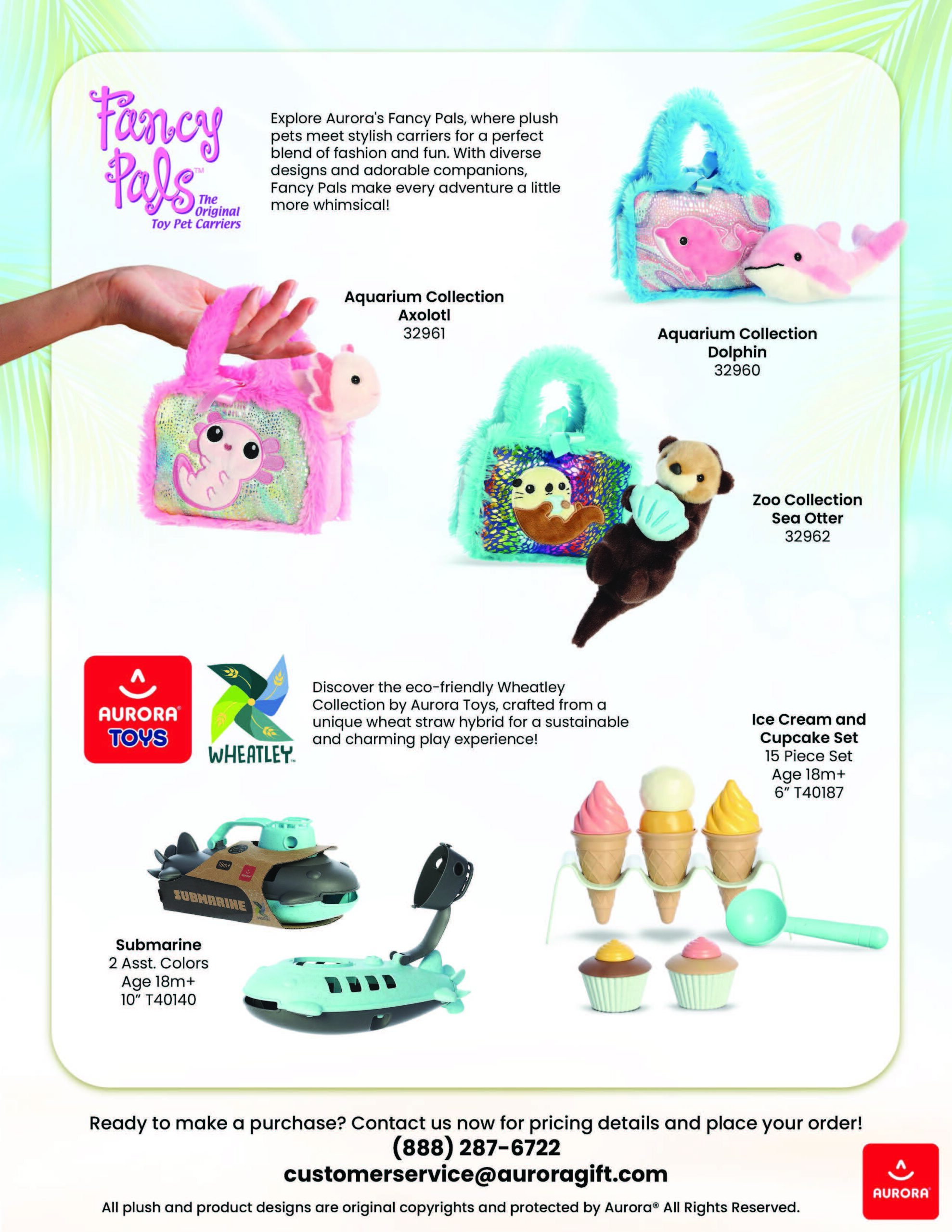 Aurora World flyer back